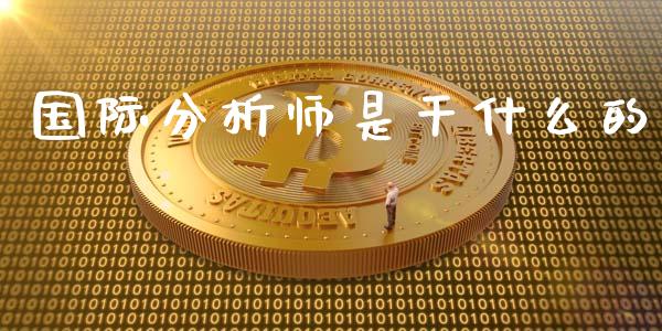 国际分析师是干什么的_https://cj.lansai.wang_会计问答_第1张