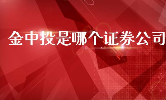 金中投是哪个证券公司_https://cj.lansai.wang_期货问答_第1张