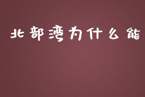 北部湾为什么能_https://cj.lansai.wang_财经百问_第1张