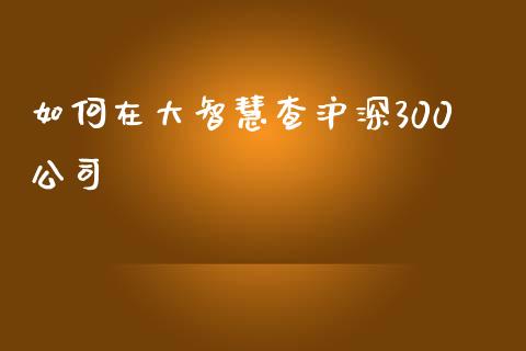 如何在大智慧查沪深300公司_https://cj.lansai.wang_财经百问_第1张