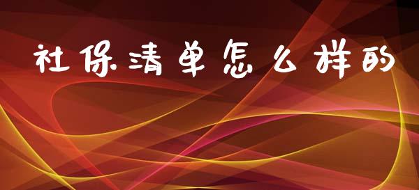 社保清单怎么样的_https://cj.lansai.wang_保险问答_第1张