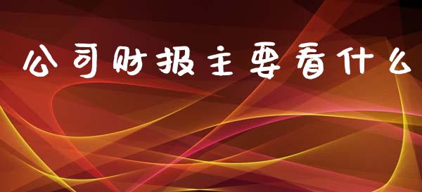 公司财报主要看什么_https://cj.lansai.wang_股市问答_第1张