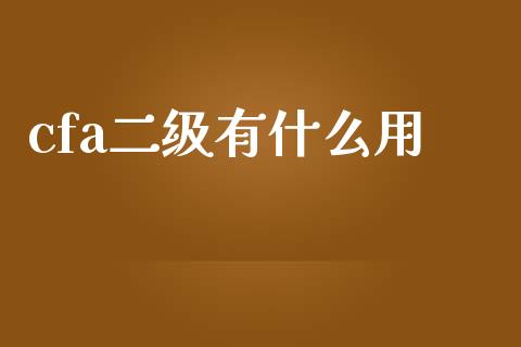 cfa二级有什么用_https://cj.lansai.wang_会计问答_第1张