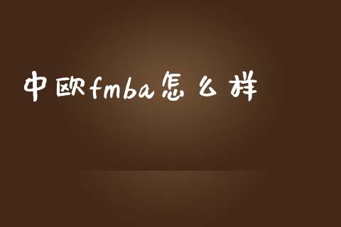 中欧fmba怎么样_https://cj.lansai.wang_财经百问_第1张