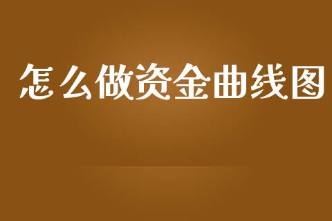 怎么做资金曲线图_https://cj.lansai.wang_会计问答_第1张