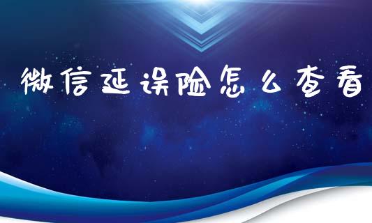 微信延误险怎么查看_https://cj.lansai.wang_保险问答_第1张