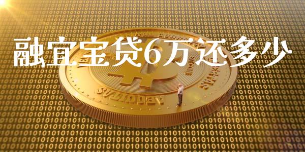 融宜宝贷6万还多少_https://cj.lansai.wang_财经百问_第1张