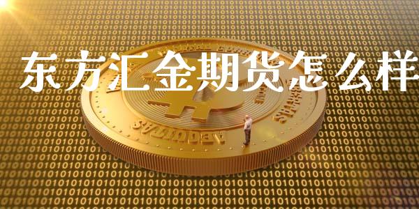 东方汇金期货怎么样_https://cj.lansai.wang_理财问答_第1张