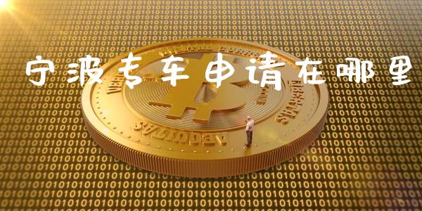 宁波专车申请在哪里_https://cj.lansai.wang_理财问答_第1张