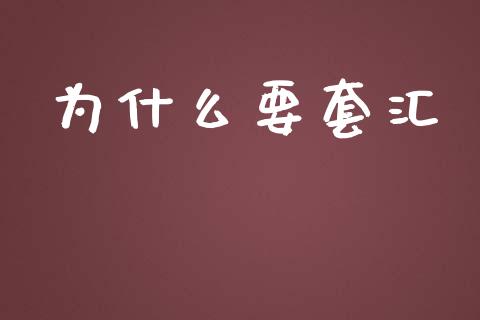 为什么要套汇_https://cj.lansai.wang_会计问答_第1张