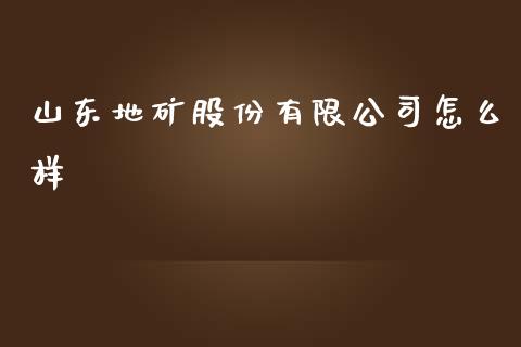 山东地矿股份有限公司怎么样_https://cj.lansai.wang_理财问答_第1张