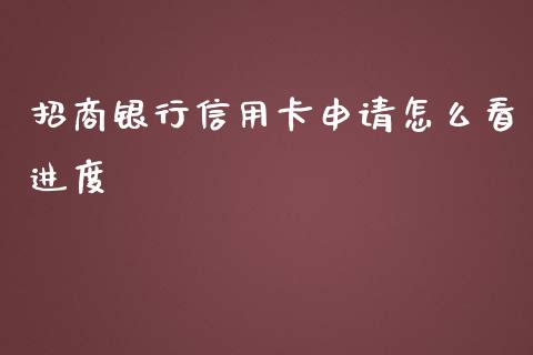 招商银行信用卡申请怎么看进度_https://cj.lansai.wang_金融问答_第1张