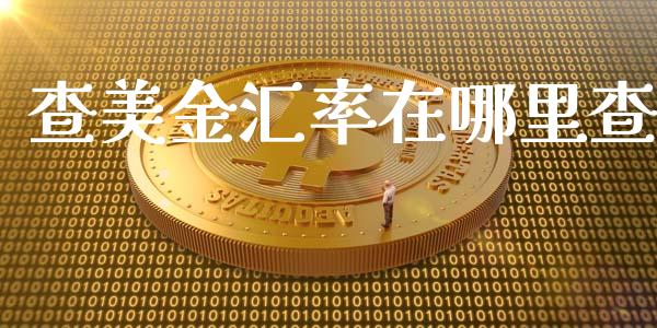 查美金汇率在哪里查_https://cj.lansai.wang_财经问答_第1张