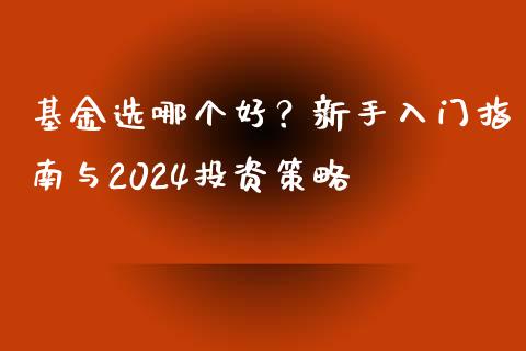 基金选哪个好？新手入门指南与2024投资策略_https://cj.lansai.wang_股市问答_第1张