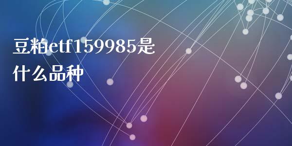 豆粕etf159985是什么品种_https://cj.lansai.wang_期货问答_第1张