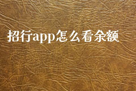 招行app怎么看余额_https://cj.lansai.wang_金融问答_第1张