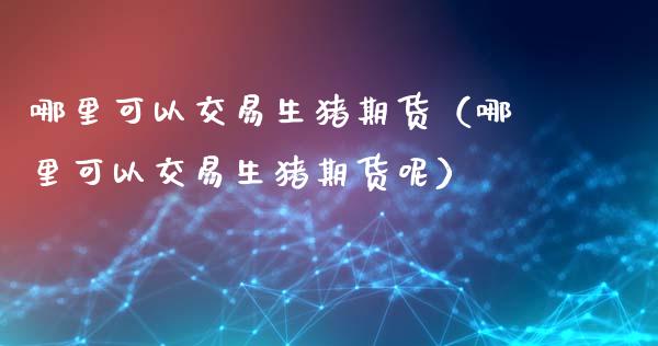 哪里可以交易生猪期货（哪里可以交易生猪期货呢）_https://cj.lansai.wang_财经百问_第1张