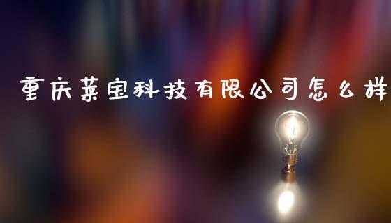 重庆莱宝科技有限公司怎么样_https://cj.lansai.wang_金融问答_第1张