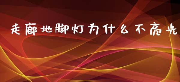 走廊地脚灯为什么不亮光_https://cj.lansai.wang_会计问答_第1张