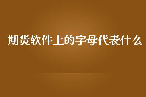 期货软件上的字母代表什么_https://cj.lansai.wang_财经百问_第1张