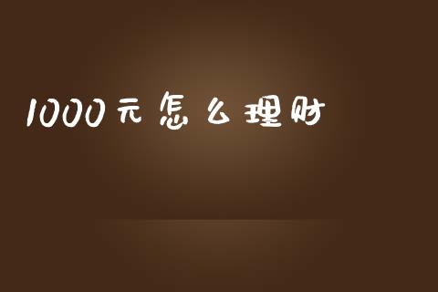 1000元怎么理财_https://cj.lansai.wang_金融问答_第1张