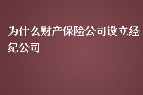 为什么财产保险公司设立经纪公司_https://cj.lansai.wang_财经百问_第1张