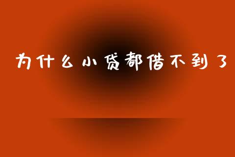 为什么小贷都借不到了_https://cj.lansai.wang_理财问答_第1张