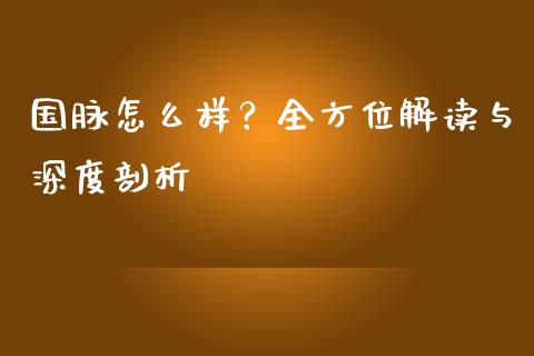 国脉怎么样？全方位解读与深度剖析_https://cj.lansai.wang_金融问答_第1张