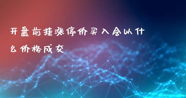 开盘前挂涨停价买入会以什么价格成交_https://cj.lansai.wang_金融问答_第1张