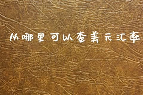 从哪里可以查美元汇率_https://cj.lansai.wang_财经问答_第1张