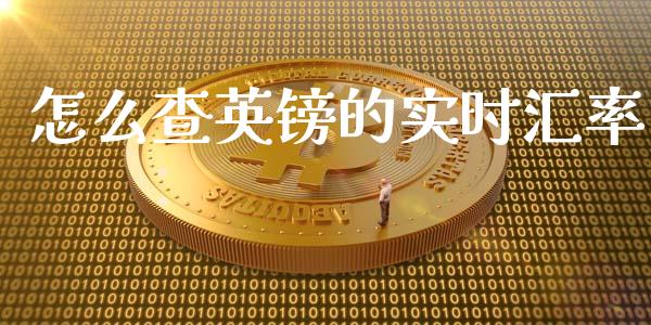 怎么查英镑的实时汇率_https://cj.lansai.wang_财经问答_第1张