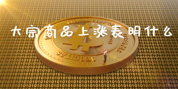 大宗商品上涨表明什么_https://cj.lansai.wang_期货问答_第1张