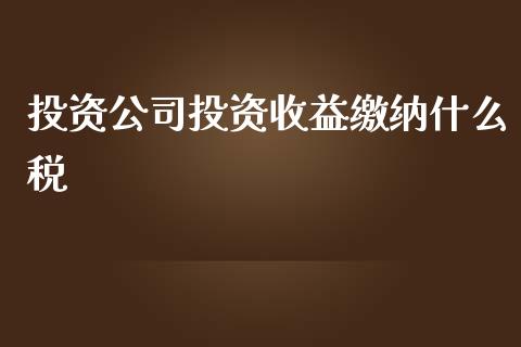 投资公司投资收益缴纳什么税_https://cj.lansai.wang_会计问答_第1张