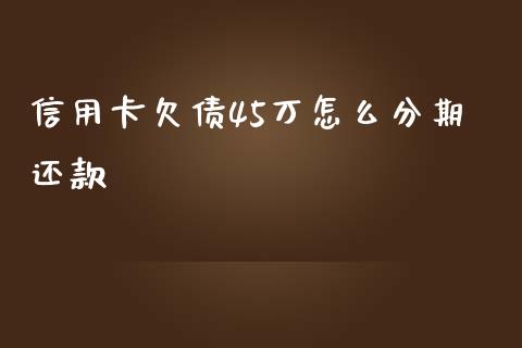 信用卡欠债45万怎么分期还款_https://cj.lansai.wang_理财问答_第1张