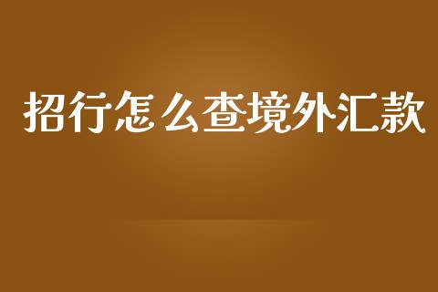 招行怎么查境外汇款_https://cj.lansai.wang_金融问答_第1张