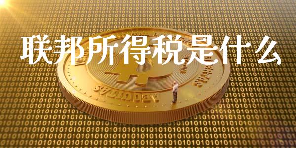 联邦所得税是什么_https://cj.lansai.wang_会计问答_第1张