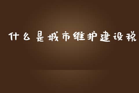 什么是城市维护建设税_https://cj.lansai.wang_会计问答_第1张