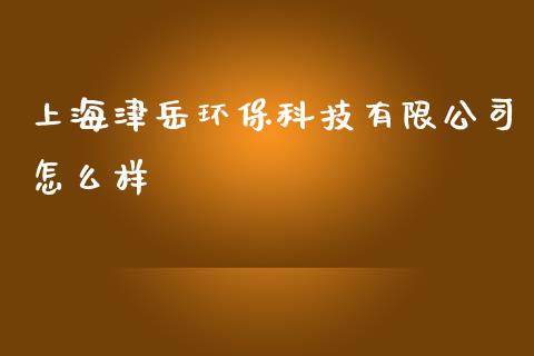 上海津岳环保科技有限公司怎么样_https://cj.lansai.wang_期货问答_第1张