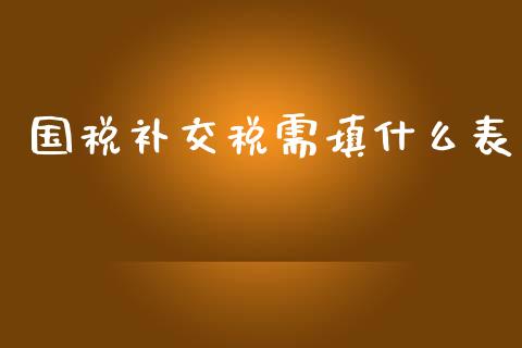 国税补交税需填什么表_https://cj.lansai.wang_会计问答_第1张