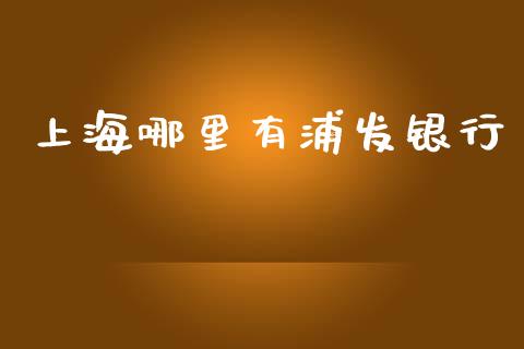 上海哪里有浦发银行_https://cj.lansai.wang_财经百问_第1张