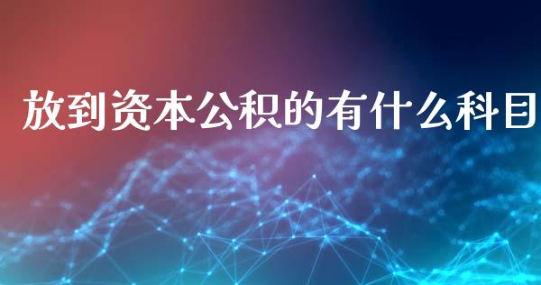 放到资本公积的有什么科目_https://cj.lansai.wang_会计问答_第1张