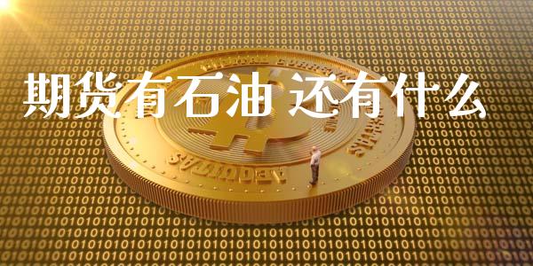 期货有石油 还有什么_https://cj.lansai.wang_财经问答_第1张