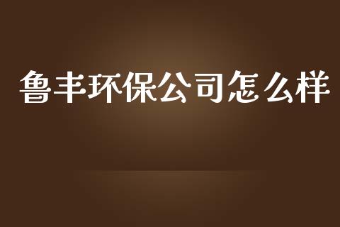 鲁丰环保公司怎么样_https://cj.lansai.wang_财经百问_第1张