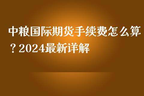 中粮国际期货手续费怎么算？2024最新详解_https://cj.lansai.wang_会计问答_第1张