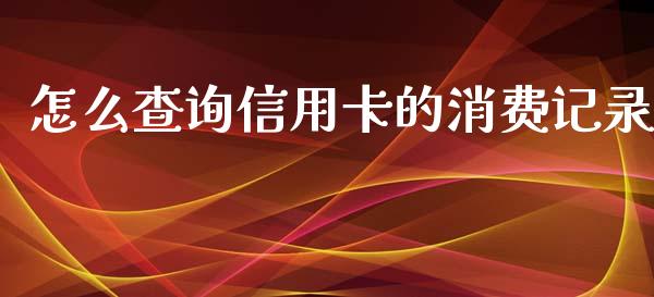 怎么查询信用卡的消费记录_https://cj.lansai.wang_金融问答_第1张