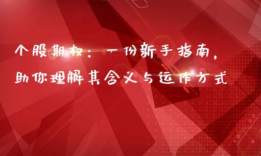 个股期权：一份新手指南，助你理解其含义与运作方式_https://cj.lansai.wang_财经问答_第1张