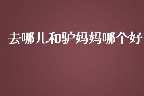 去哪儿和驴妈妈哪个好_https://cj.lansai.wang_财经百问_第1张