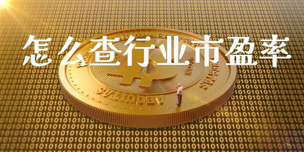 怎么查行业市盈率_https://cj.lansai.wang_保险问答_第1张