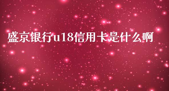 盛京银行u18信用卡是什么啊_https://cj.lansai.wang_金融问答_第1张