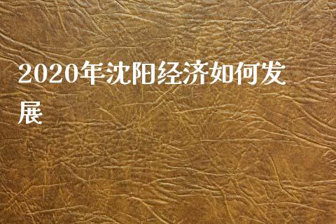 2020年沈阳经济如何发展_https://cj.lansai.wang_股市问答_第1张